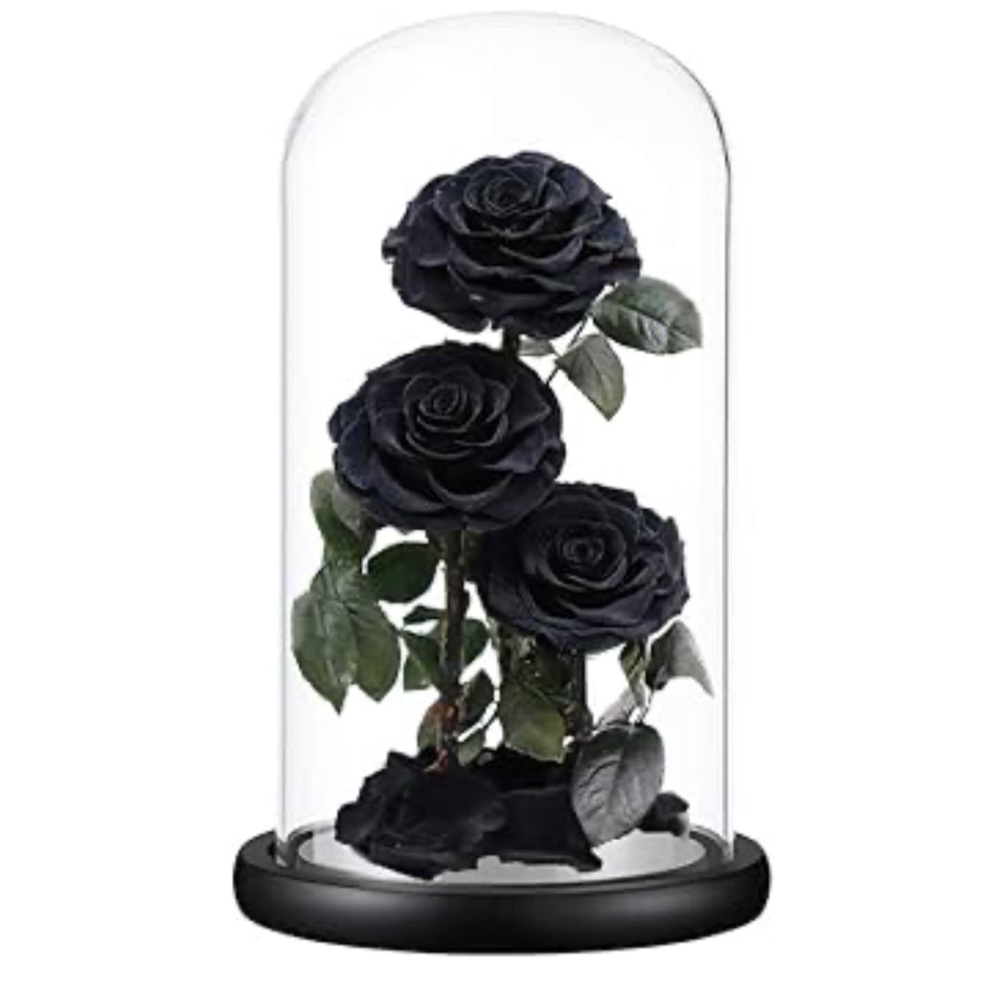 Black Roses in Glass Dome Display, Black Halloween Roses, Halloween Decor